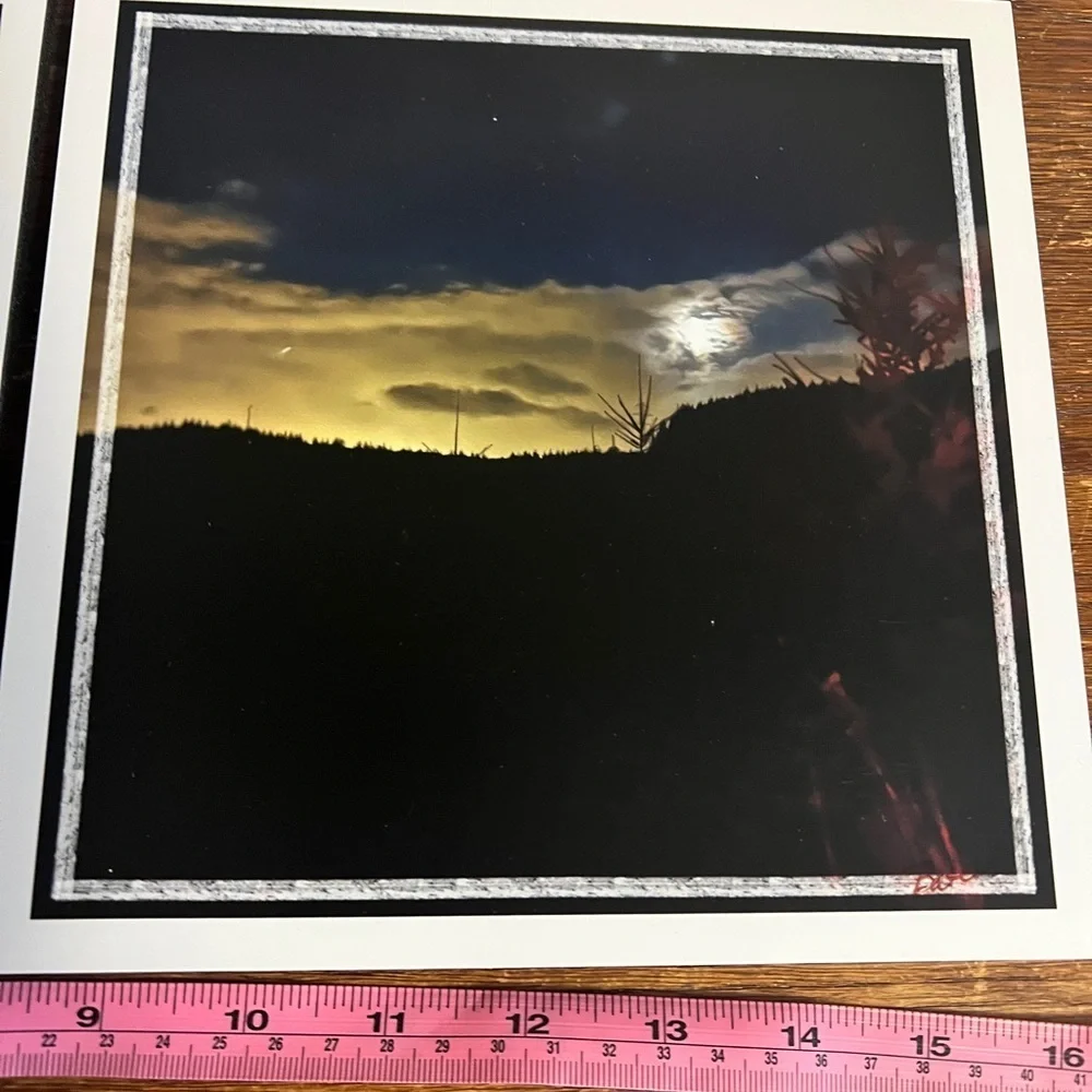 Pacific Northwest Photo Tile Set – 7 Original 8x8 Nature Photography Pieces